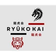 Image result for Ryuko Dojo