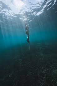 Image result for Deep Blue Diving