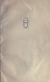 Attēlu rezultāti vaicājumam “Chionaspis salicis imago”