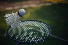 Image result for Lewes Junior Badminton Club
