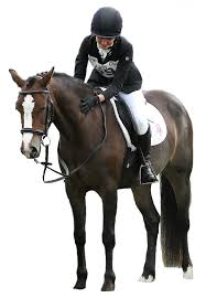 Image result for Blackpool & Fylde Horse Club