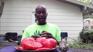 Afbeeldingsresultaat voor Pink Brandywine tomato