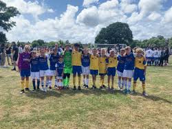 Image result for Bournemouth Electric Bowls Club