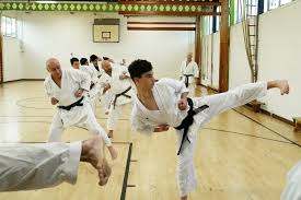 Image result for Haslemere Shotokan Karate Club