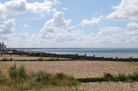 Image result for Whitstable Cc