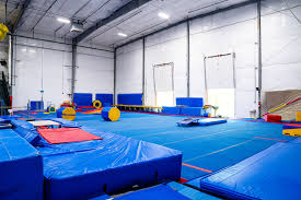 Image result for Angmering Gymnastics