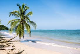 Image result for cahuita costa rica