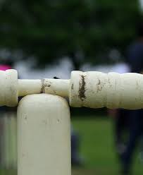 Image result for Portland Red Triangle Cricket Club