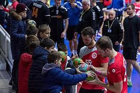 Image result for Ashford Tanners Handball Club