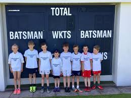 Image result for Haverfordwest Cricket Club