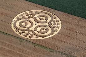 Image result for crop circles