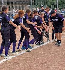 Image result for Dragons Softball Club
