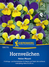 Image result for Hornveilchen