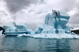 Image result for Ildblomkarse