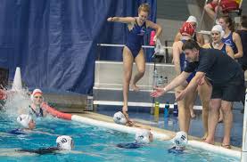 Image result for Leeds Sharks