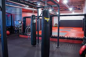 Image result for Prospect School ladies only kickboxing Club