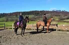 Image result for Cranleigh School Stables