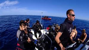 Image result for Abyss Dive Club