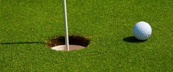 Image result for Plymouth Swallows Gc