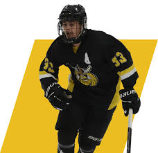 Image result for Milton Keynes Ice Skating Club