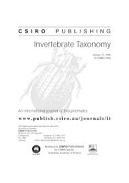 Attēlu rezultāti vaicājumam “Lamellocossus terebra”