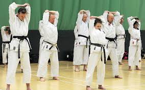 Image result for Harpenden JKA Karate