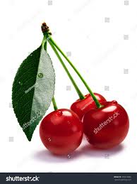 Attēlu rezultāti vaicājumam “Cerasus leaf”