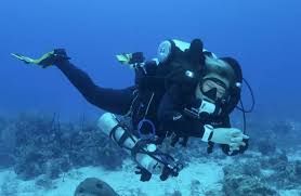Image result for innerspace divers