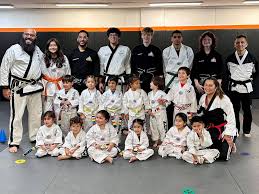 Image result for Skillz Martial Arts