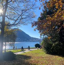 Image result for "Parco Ciani"