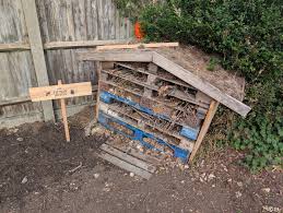 Image result for Odiham swim club