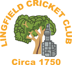 Image result for Lingfield Cricket Club
