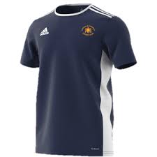 Image result for Knockin & Kinnerley Cricket Club