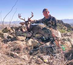 Image result for ArcheryDuns