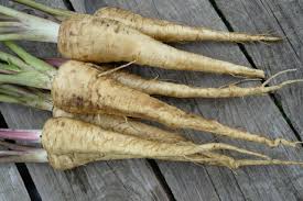 Image result for Pastinake