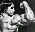 Arnold Schwarzenegger Picture 1