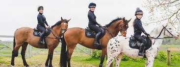 Image result for Bookham Riding Club