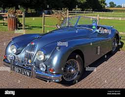 Image result for Platinum 1979 Jaguar