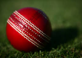 Image result for Purnell Cricket Club