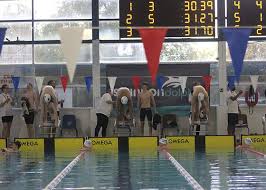 Image result for Swindon Dolphins Swimming Club