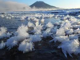 Attēlu rezultāti vaicājumam “Frost Flowers”