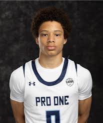 Image result for Kingston Wildcats Basketball Club