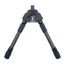 Attēlu rezultāti vaicājumam “Protapion sp.”