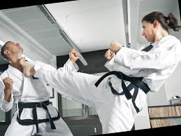 Image result for Alleyn School Of Japanese Karate