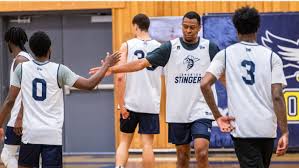 Image result for Stingers Korfball Club