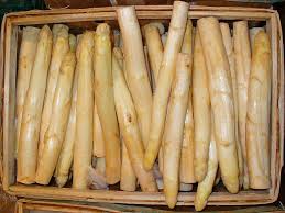 Attēlu rezultāti vaicājumam “Asparagus officinalis fruit”