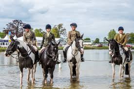 Image result for Beaufort Badminton Club