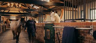 Image result for Annandale Equestrian Centre