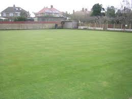 Image result for Lowestoft Scrabble Club