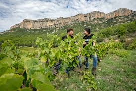 Image result for geografs sense fronteres